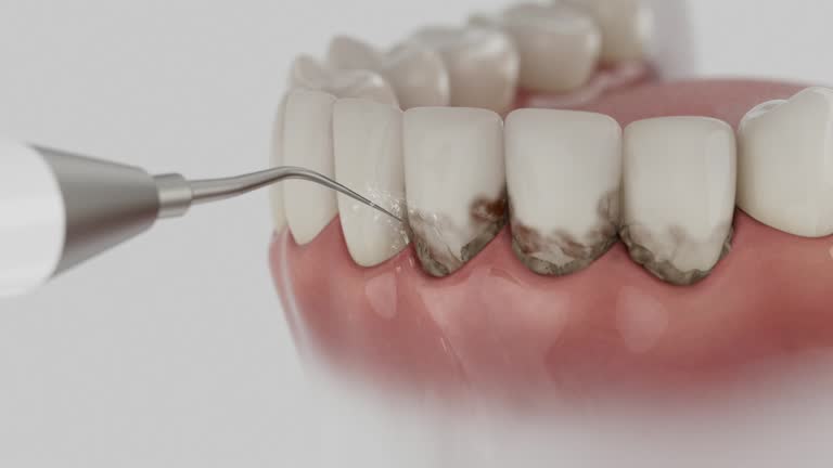 Reliable Dental contractor in Stepping Stone, CO by Dentist Open Now